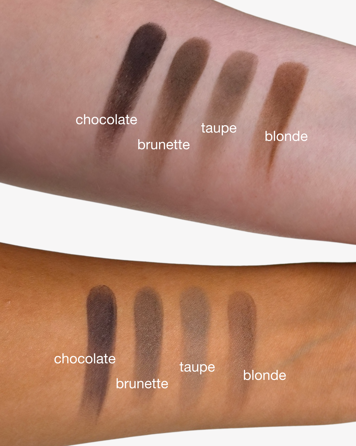 powder and duo brush